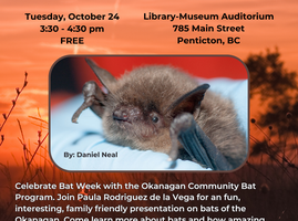 2023 10 24 Bat Program