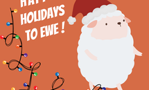Christmas closure Dec 29